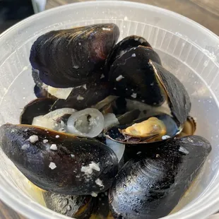 Mussels in garlic sauce! Soooo fresh and yummy!