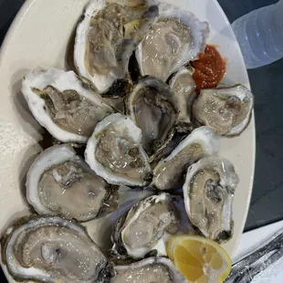 oysters, mussels, oysters and mussels, shellfish, food