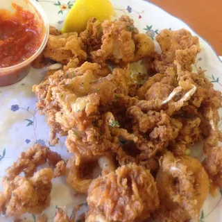 Fried Calamari