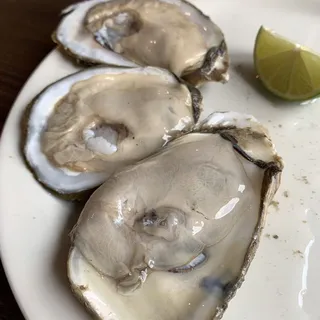 Fresh Oysters