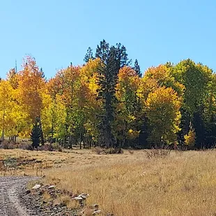 White Mountain color changes