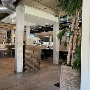 a plant in a pot in a restaurant