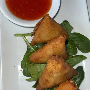 Duck Empanadas