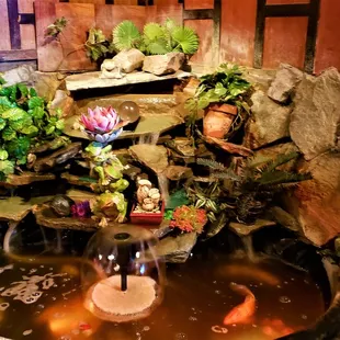 This Sala Thai II pond is stocked with large goldfish and another variety.