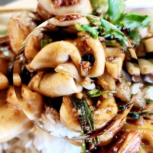 a close up of a plate of food