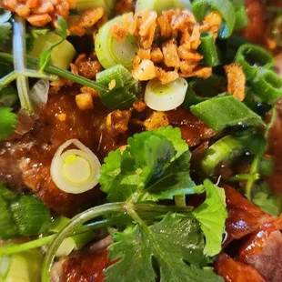 ROASTED DUCK SOUP