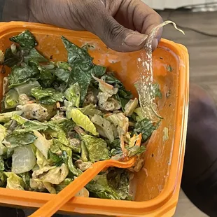 Salad and Go