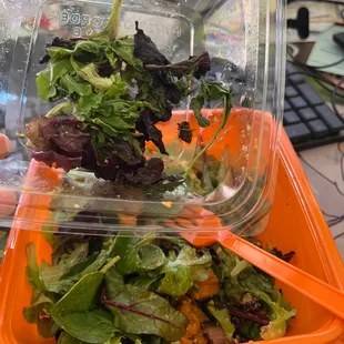 Old and wilted spring mix in my salad.