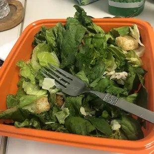 Pic of a very sad salad.