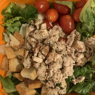 Salad and Go