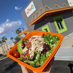 Chicken Cobb Salad