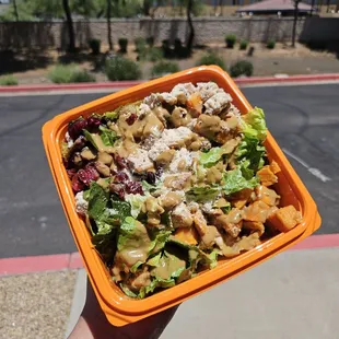 Roasted Autumn Salad with chicken