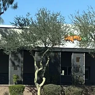 outside, ramen and noodles