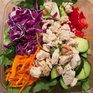 Thai Salad with chicken - carrots, red cabbage, red bell pepper, cucumber, romaine, and Thai peanut dressing (a little spicy!)