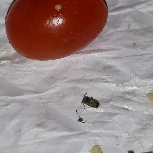 One that likes Jalapeño Ranch Wraps!