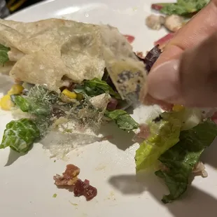 Buffalo Chicken Wrap