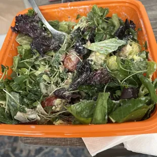 Salad and Go