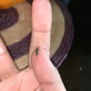 Larva Worm in Cobb Salad