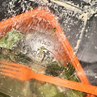 PLASTIC FOUND IN SALAD !!! BE CAREFUL !!!