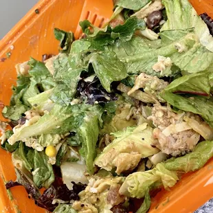 Salad and Go