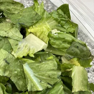 My lettuce is bad lettuce there is black spots all over my lettuce this was not fresh