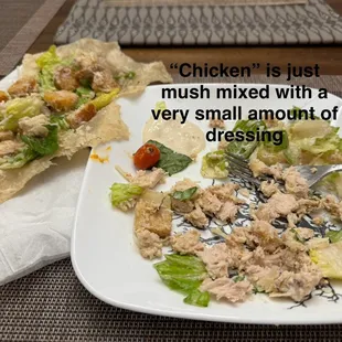 Mushed up chicken, not chunks it shows on their website