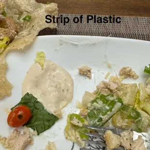 Plastic strip found inside the wrap