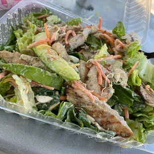 Healthy Protein Chicken Salad with Caesar dressing