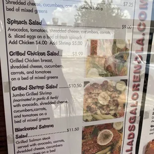 a menu for salads galore