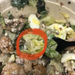 a closeup of a plate of food