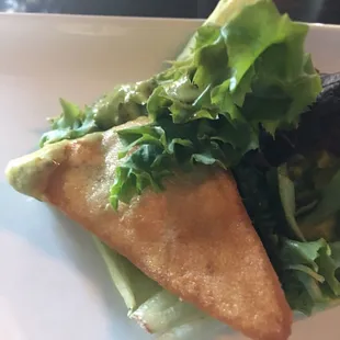 Complimentary Pita and Cilantro Hummus