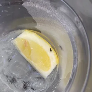 Mosquito taking a bath in my lemon water wow.