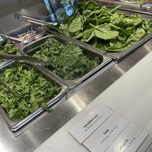 salads, interior