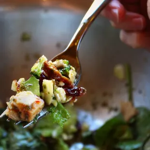 food, soups and chowder, soup, chowder