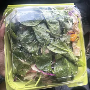 My regular salad they made with excess greens and very minimal toppings