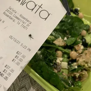 A fly in regular salad