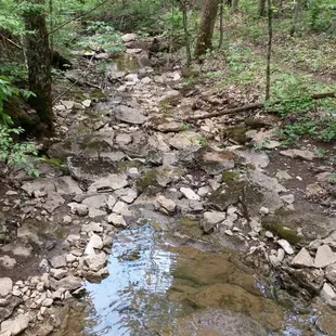 Creek next to dam