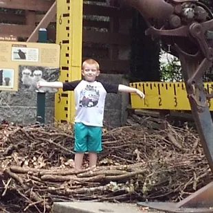 Can you fit in this life size bird nest?