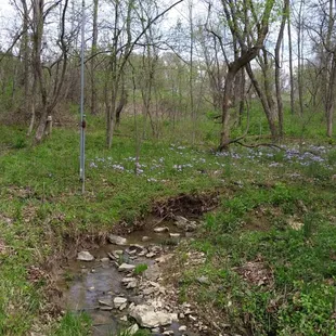 On our way to the hiking trails