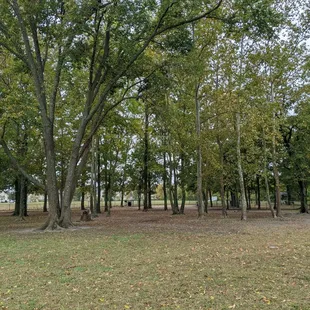 Dog park