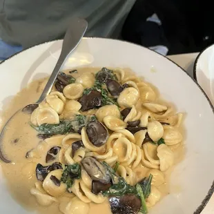 Mushroom Pasta