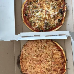 12&quot; Medium Plain Cheese Pizza, and 12&quot; Medium sausage, mushroom, jalapeño pizza