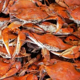 Steamed Crabs