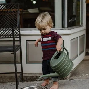 Oliver was nominated for employee of the month in July, for his dedication to clean dog water.