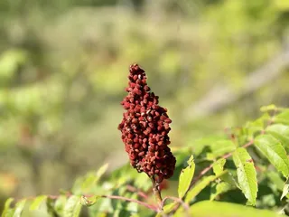 Mushroom Rock State Park