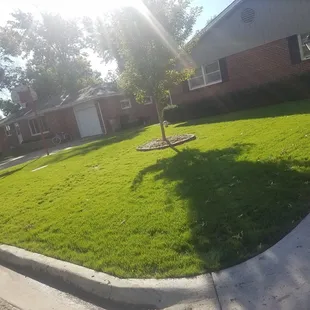 Sallee Lawn Care