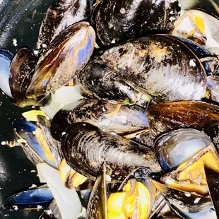 oysters and mussels, mussels, food, shellfish, oysters