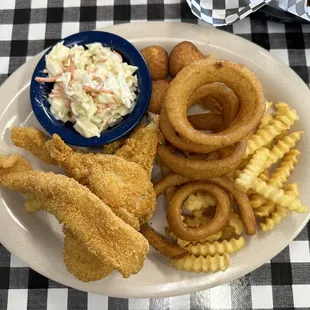 Southern Fried Catfish Special (sub beans for onion rings)