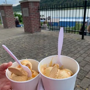 Terrific pumpkin pie ice cream.