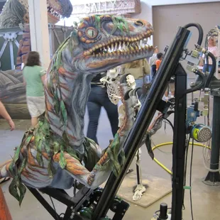An animatronic dino.